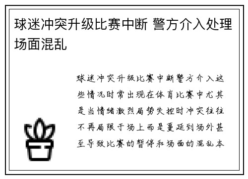 球迷冲突升级比赛中断 警方介入处理场面混乱