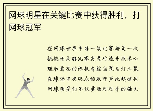 网球明星在关键比赛中获得胜利，打网球冠军